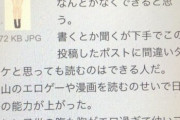【悲報】4chan民さん、日本の漫画で覚えた日本語でとんでもない書き込みをしてしまう…