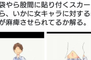 【画像】フェミさん、「チン袋」を描いて性的搾取に反論！ｗｗｗ