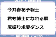 今井春花予報士　君も博士になれる展で尻振り求愛ダンスGIF