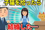【2ch馴れ初め】雨の日に子猫を拾って嫁と出会った…【ゆっくり】