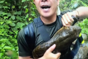 【画像】爬虫類ハンター加藤、とんでもない生物を捕獲！！