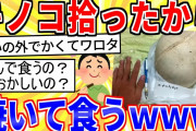 【2ch面白いスレ】めっちょデカいキノコ拾ったから焼いて食うｗｗｗ【ゆっくり解説】