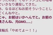 ガーシー「ひろゆきの嫁はひろゆきと出会う前他の男と付き合ってた！」
