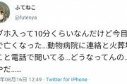 【画像】風俗嬢「えぇぇぇ・・・・・ラブホに犬来た・・・・・・・・・・」