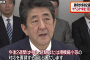 【悲報】安倍総理のせいで日本が滅びそう
