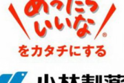 【画像】小林製薬が潰れたら『使えなくなる製品』がガチで痛すぎると話題に...。