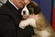プーチン大統領から贈られた犬を適当に扱った結果www