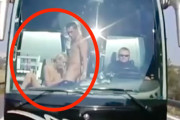 【エロ動画 素人】 ドライバー「え、後ろのバスでAV撮っててセクロス丸見えなんだがｗｗｗ」⇒ パシャ