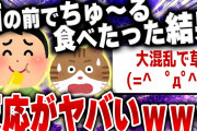 【爆笑面白い2chスレ】○○したらどうなる？いたずら楽しすぎワロタ まとめ11選 [ ゆっくり解説 ]