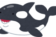 【画像】シャチの恐怖画像がコレ・・・・