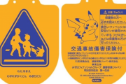 【悲報】ピカチュウさんのせいで親が子供の保険を売り飛ばす……