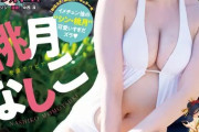 【画像】たぬかなさん、お乳が飛び出しそうなグラビアが大公開