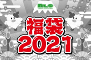 売り切れ必至！毎年大人気のアダルトグッズ福袋が今年も販売中！！安心と信頼のＮＬＳの福袋で今年も抜きまくろう