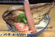 【画像】このガッツリ丼が650円ｗｗｗｗｗ