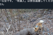 【画像】イッヌさん、野生の鹿のキンタマにかぶりつき仕留めるwwwwwwwwwwwwwww