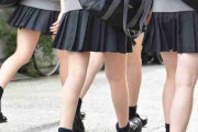 【画像】JK「高1女子です、155cm60kgなんですけどこの身体って無しですか？？」