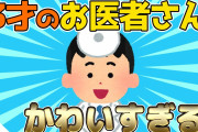 【2ch面白いスレ】3歳のお医者さんごっこが可愛すぎるwww【ゆっくり解説】