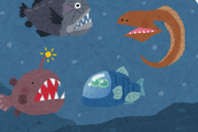 【画像】深海1000mにてカッコよすぎる生き物が発見されるｗｗｗｗ