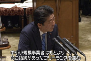 安倍首相「フリーランスの方も有給休暇をとってください」　野党「フリーランスの意味分かってます？」