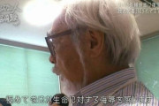 宮崎駿に見せたら生命に対する侮辱だと激怒されそうなアニメ
