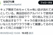 【悲報】ゴミ捨て場からプリキュア下着を『救済』する特級プリキュアおじさんが出現