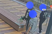 【悲報】子ども3人組、総額1億円の恐竜モニュメントを何度もキックし破壊　犯行の一部始終