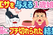 【2ch ほのぼの】1歳娘エサをあげようとしたらブチ切れられた結果w