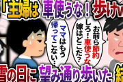 私に対して節約を強いる夫「主婦は車使うな！歩けニート！」と車の使用を禁止する→大雪の日に、私が帰ってこな。夫「どこ行った？」息子「もう帰らぬ人に…」夫「え…」【2chスカッと・ゆっくり解説】