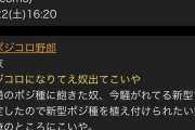 【悲報】ゲイ掲示板でコロナウィルス植え付けをオプションにするゲイが発見される