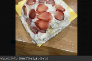 【画像あり】大惨事！崩れて届いた高島屋のクリスマスケーキ（5400円）をご覧ください・・・【お詫び案件】