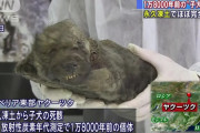 【画像】1万8000年前の犬、発見されるWWWWWW