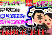 【2ch修羅場スレ】アレルギー飯を強制する嫁と、そのヤバい真相「何度拒んでもアレルギー飯を嫁が食わせる件」【ゆっくり解説】