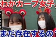 【野球】「カープ女子」はどこへ？ピーク時からは落ち着く広島カープ観客動員...平均観客数は前年割れ