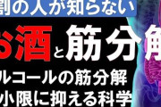 酒飲んだら筋肉分解するって、あれ本当かな？って思っちゃうんだが