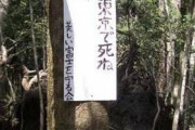【悲報】樹海、自殺者に厳しかった