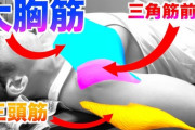 【悲報】ワイ筋トレ初心者、ベンチプレスが胸に効かなくて咽び泣く