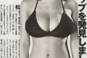 2000年半ばの巨乳グラドル好きな奴ｗ