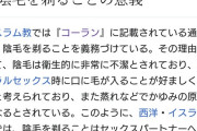 イスラム教「女は肌出しちゃダメです、出したら殺します」←こんなのが罷り通ってる理由