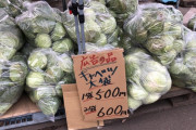 【悲報】キャベツさん、ガチで豊作すぎて3個100円で売られてしまう…