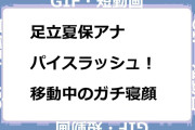 足立夏保アナ　シートベルトパイスラッシュ！移動中のガチ寝顔GIF