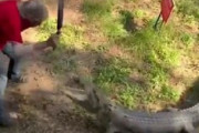 【動画】おっさん、フライパンで?を撃退ｗｗｗｗｗｗｗｗｗｗｗ