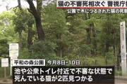 【悲報】猫の首吊り死体相次ぐ 東京・平和の森公園