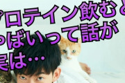 医者「プロテインを飲むと腎臓が悪くなる。人工的なタンパク質は避けろ！」「筋トレをしてもタンパク質を摂取する必要はない！」