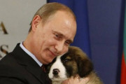 【GIF】プーチン大統領から贈られた犬を適当に扱った結果www