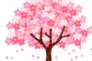 【エロ板まとめ】  【画像】桜を撮る『ミニスカJKの桜』がエッチすぎる!!