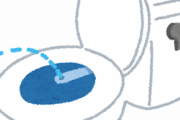 トイレにあるビデとかいう謎のボタンｗｗｗｗ