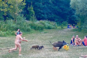 【悲報】海外でエロイノシシが出没し、パンツをはぎ取り逃亡