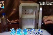 【朗報】ちっちゃい冷蔵庫、部屋にあると便利すぎるｗｗｗｗｗｗｗｗｗｗｗｗ