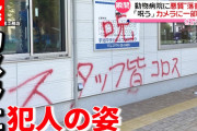 【動画】動物病院の壁に悪質な落書き 「皆コ〇ス」カメラが捉えた犯行の一部始終