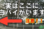 鹿児島県職員「うんこ漏れる～！！」法定速度54キロ超過で免停  [632443795]